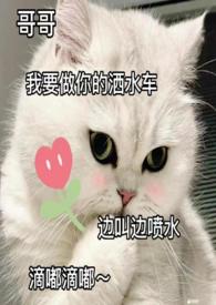 年度骨科护理质量分析