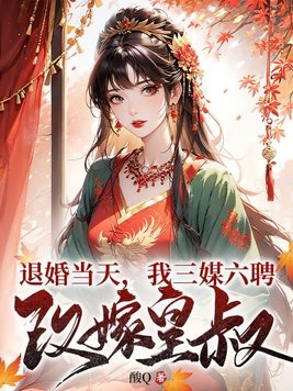 退婚当天,我三媒六聘改嫁皇叔